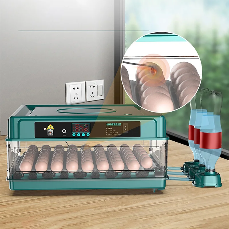 

Peacock Parrot Duck, Pigeon, Automatic Household Chicken, Fully Goose, Egg Incubator Mini Double Intelligent And Incubator Power