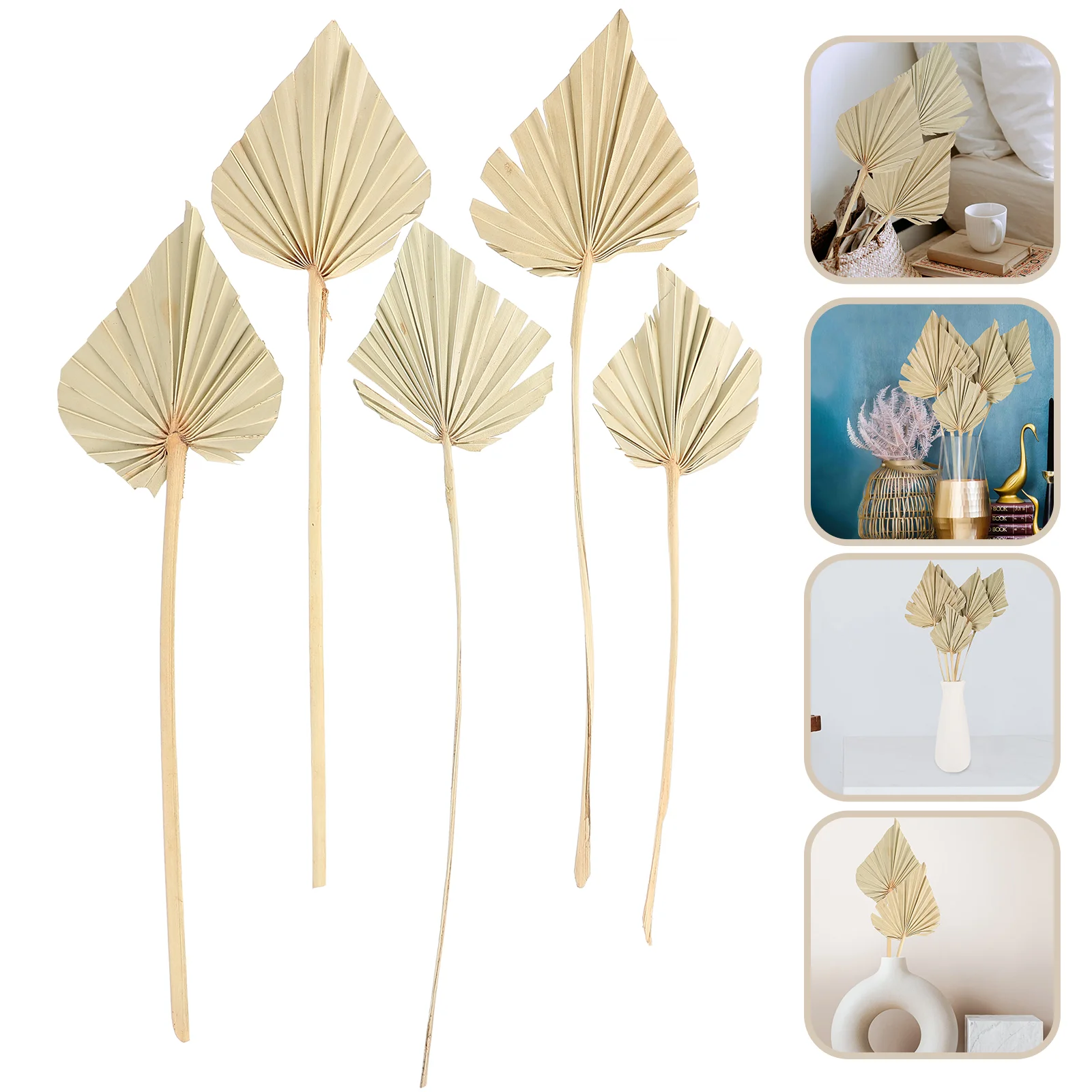 

Palm Leaves Dried Decor Leaf Tropical Party Natural Flowers Pampas Flower Grass Fan Decorations Fans Faux Decoration Stem Dry
