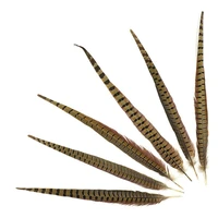 wholesale 18 20 inch45 50cm natural pheasant tail feathers hair extension centerpieces wedding decorations diy feather plumes