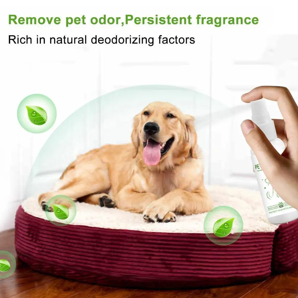 

30ml Pet Dog Odor Deodorant Dog Pet Deodorant Spray Dog Odor Liquid Spray Pet Z6k3