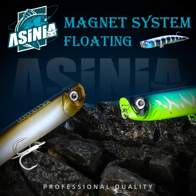 ASINIA Новое поступление 100 мм 10 г горячая модель топвотер приманки жесткая приманка