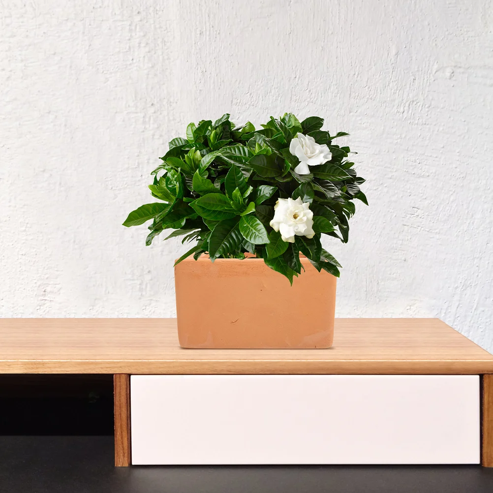 

Succulent Pot Nursery Pots Planting Garden Terracotta Planter Clay Grow Plants Indoor