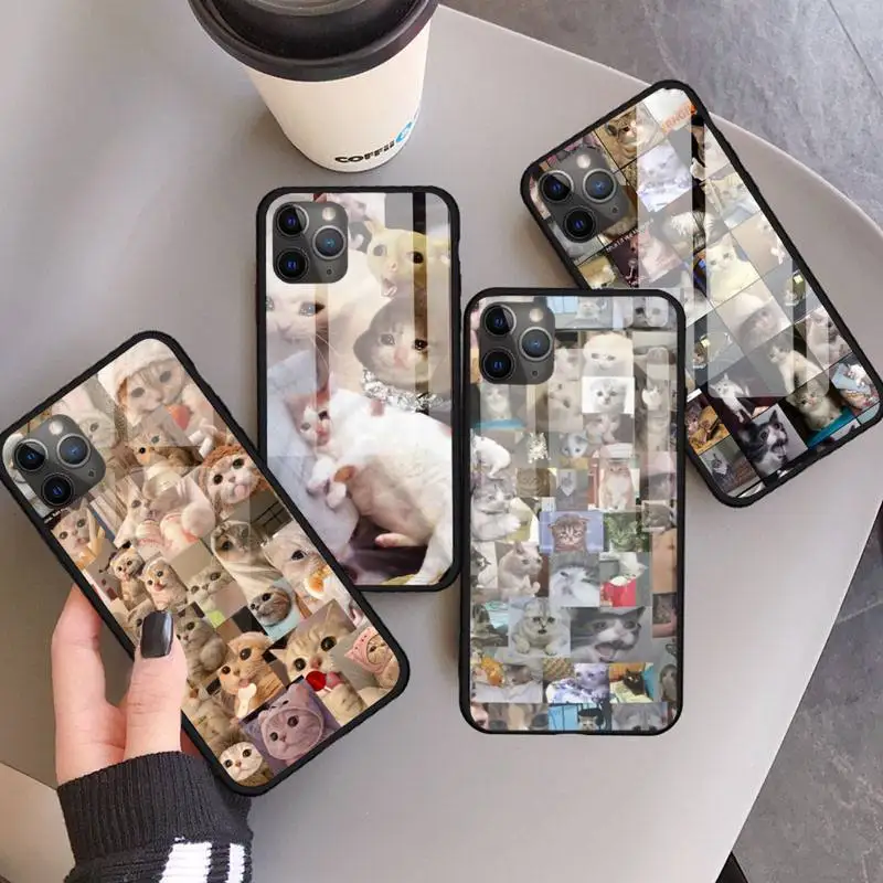 

Crying Cat Memes Phone Case Tempered glass For iphone 11 12 13 PRO MAX mini 6 7 8 plus X XS XR