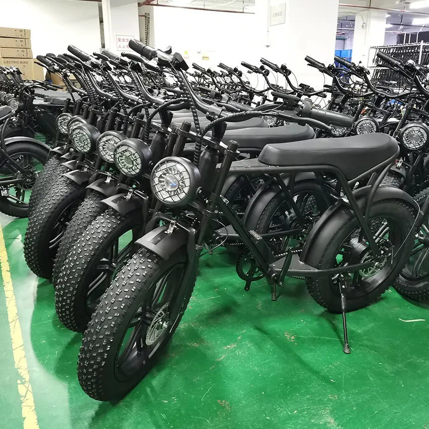 Electric Bicycle
