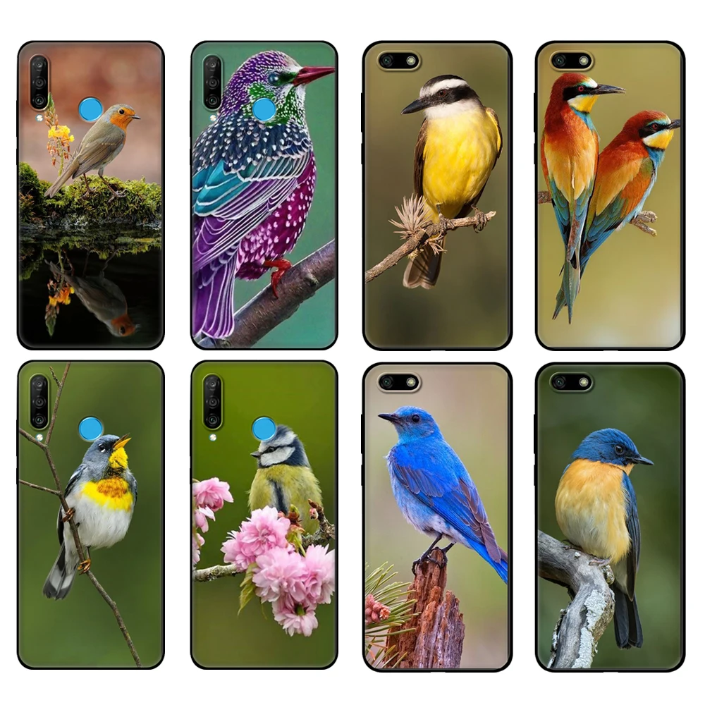 

Черный чехол из ТПУ для Huawei Honor 20 Lite 10 10i 20S 30S 30, чехол для Honor 7A 5,45 7s 7C 5,7, чехол с милыми птицами