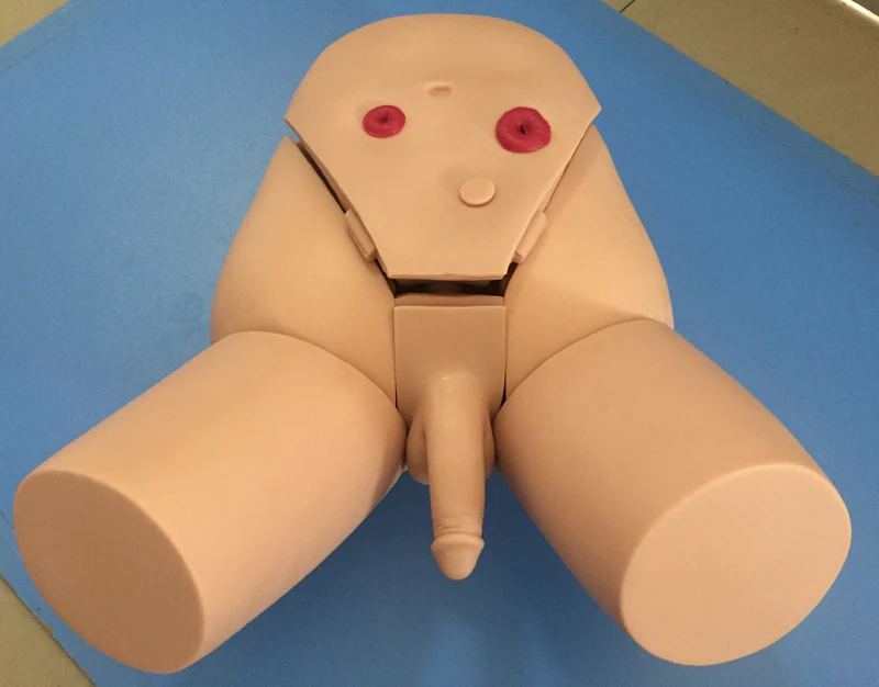 

Male Catheterization Model,Skill Training Model of Catheterization,Male Simulation Teaching Aids