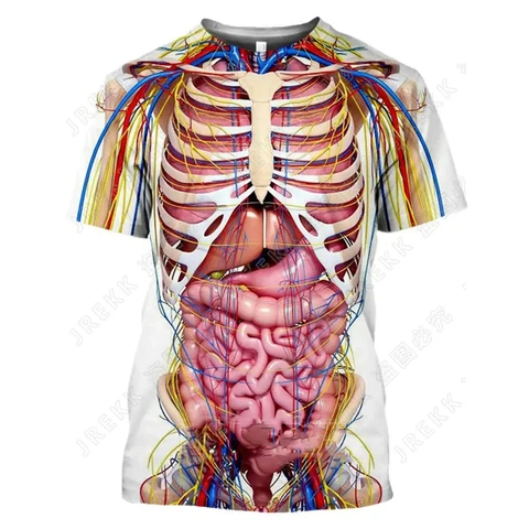 Футболка мужская с 3D принтом скелета внутренних органов, смешная дизайнерская рубашка с индивидуальной структурой человека, Повседневная Уличная одежда, топы