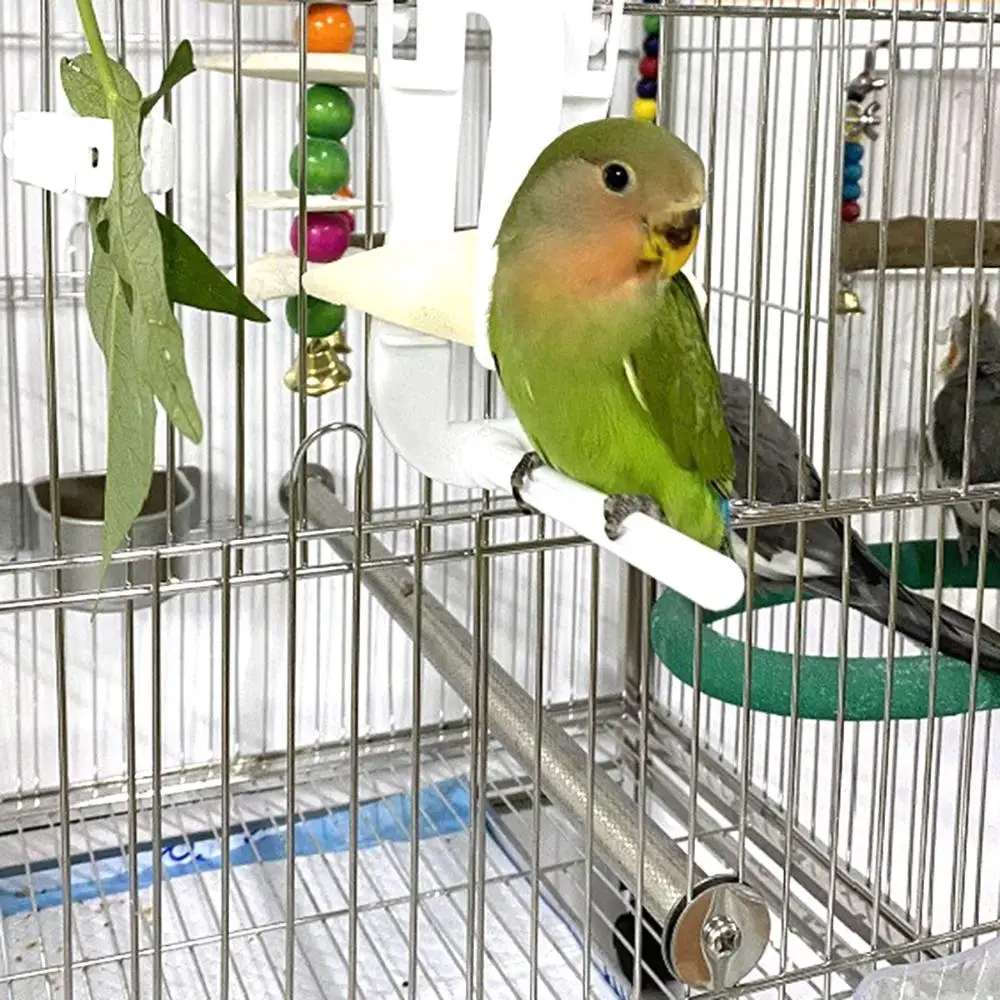 

Cockatiel Budgie Pet Cage Accessories Small Animals Fruit Bird Food Holders Cuttlebone Clip Parrot Feeder Feeding Clamp