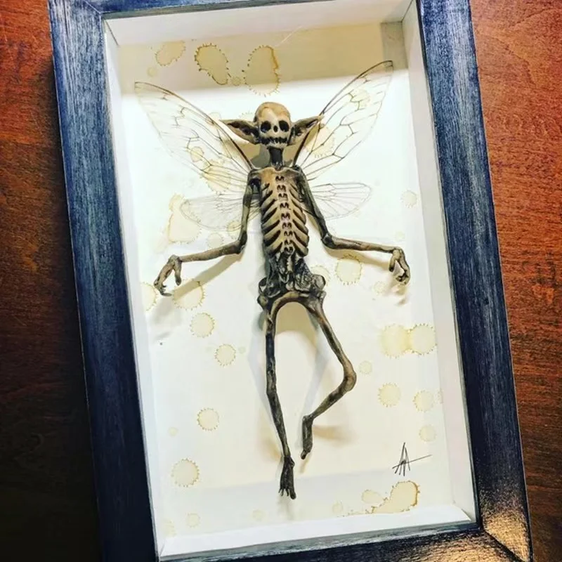 

Gothic Home Decor Mummified Fairy Fairy Skeleton Witchy Decor Fairy Specimen Statue Picture Frames Display Painting 2023