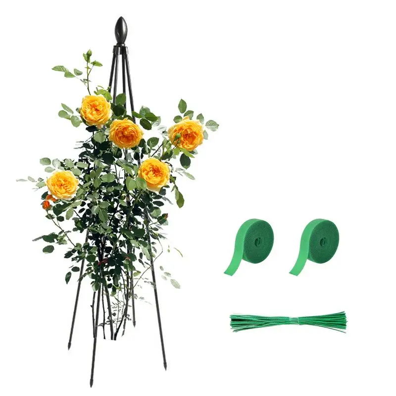 

Potted Plants Trellis Climbing Rattan Plant Support Powder Coating Plant Climbing Aid Tool For Roses Ivy Clematis And Tomatoes
