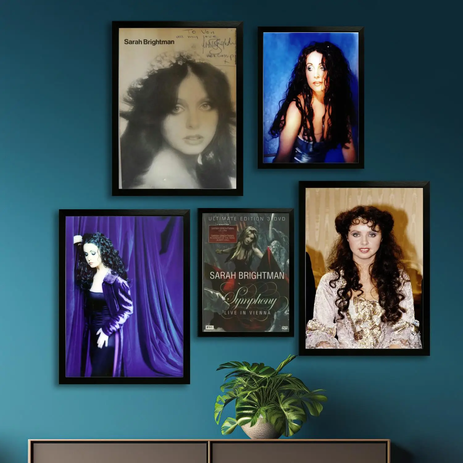 Холст Сара Брайтман настенное искусство картина с принтом современная семья