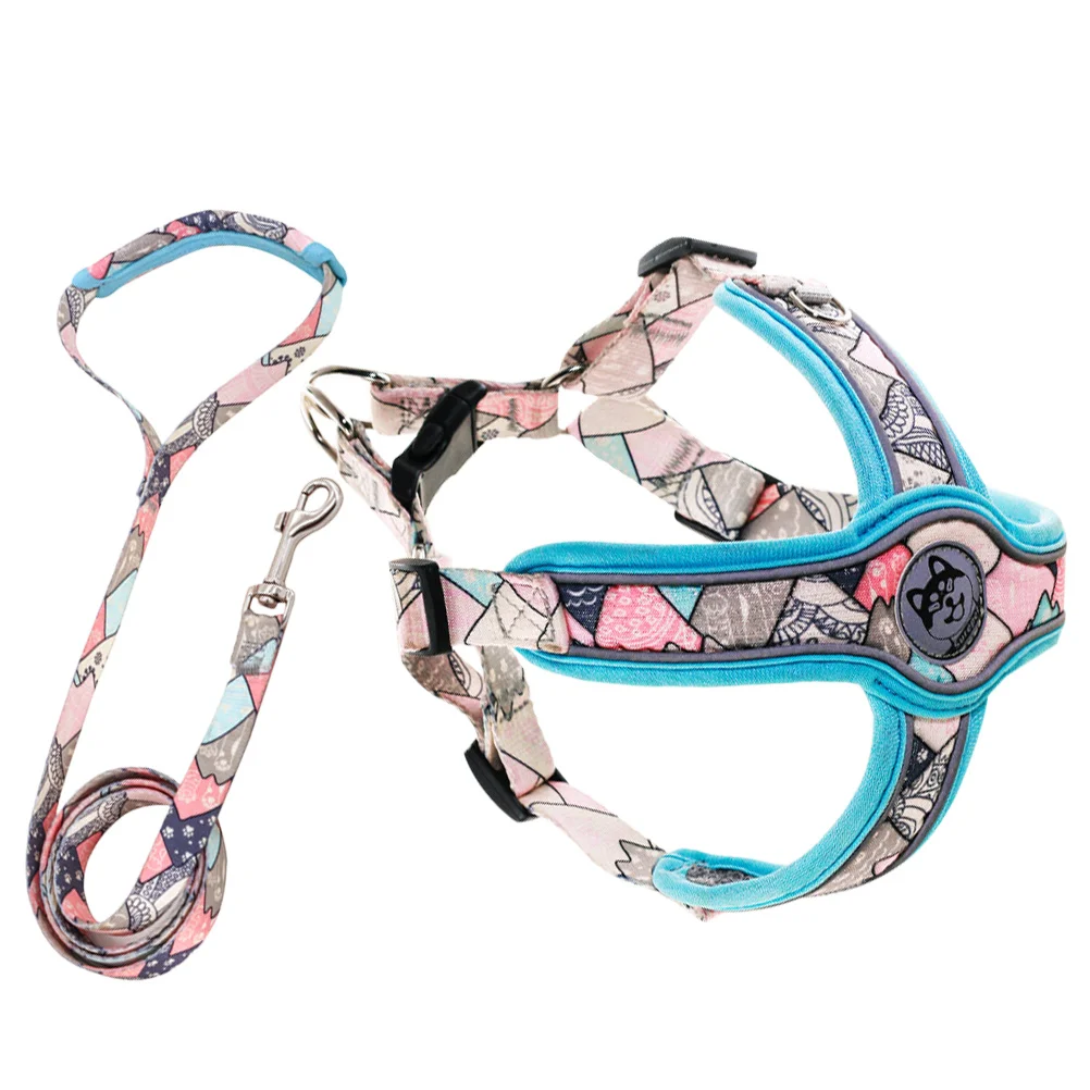 

1 Set Dog Chest Strap Comfortable Dog Vest Portable Dog Walking Rope Pet Traction Leash
