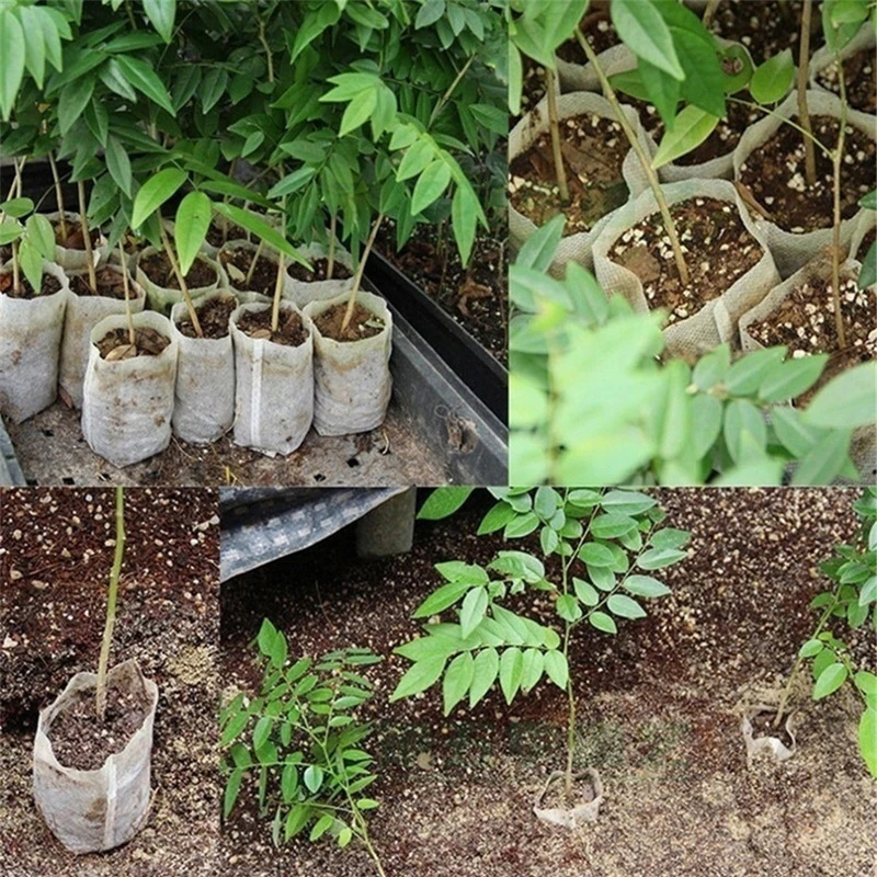 Growing Bags 100pcs Gardening Supplies Seedling Bag Plants Pouch Planting Bags Nursery Bags Biodegradable Environmental 8*10cm