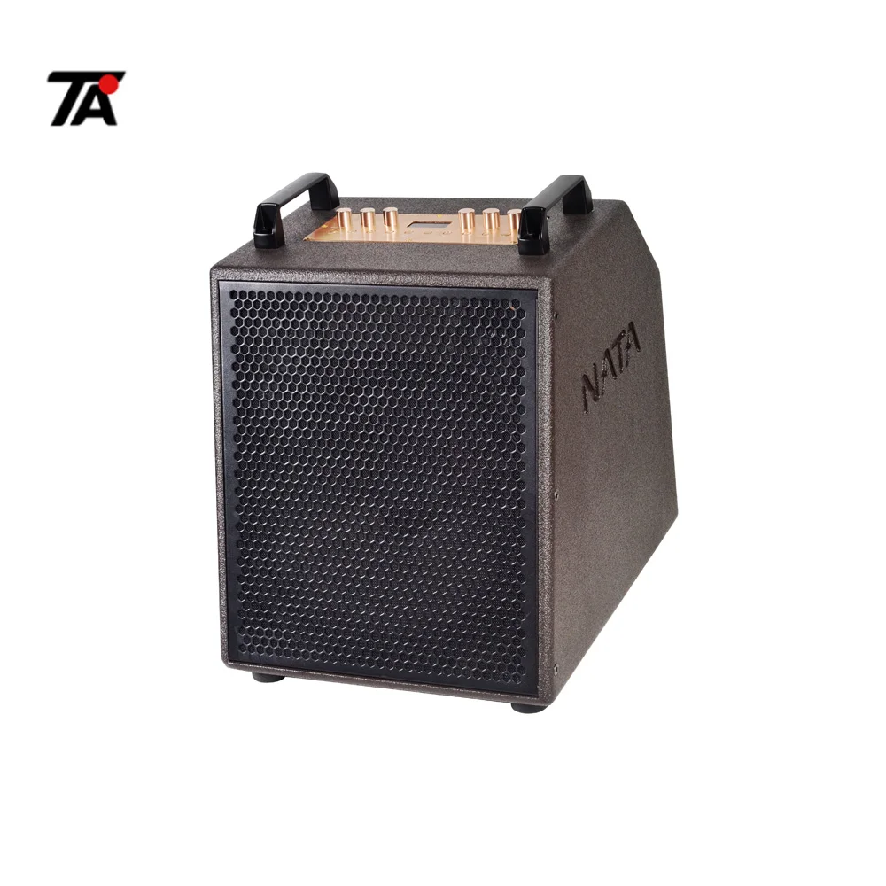 

12 inches Portable Guitar BT Speaker for stage show and live streaming