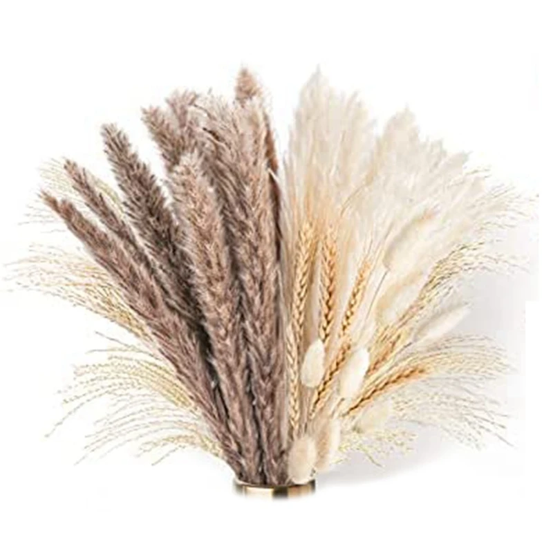 

New Natural Dried Pampas Grass Dried Flowers Set Vase For Pampas Grass Decoration DIY Decoration For Home Decoration