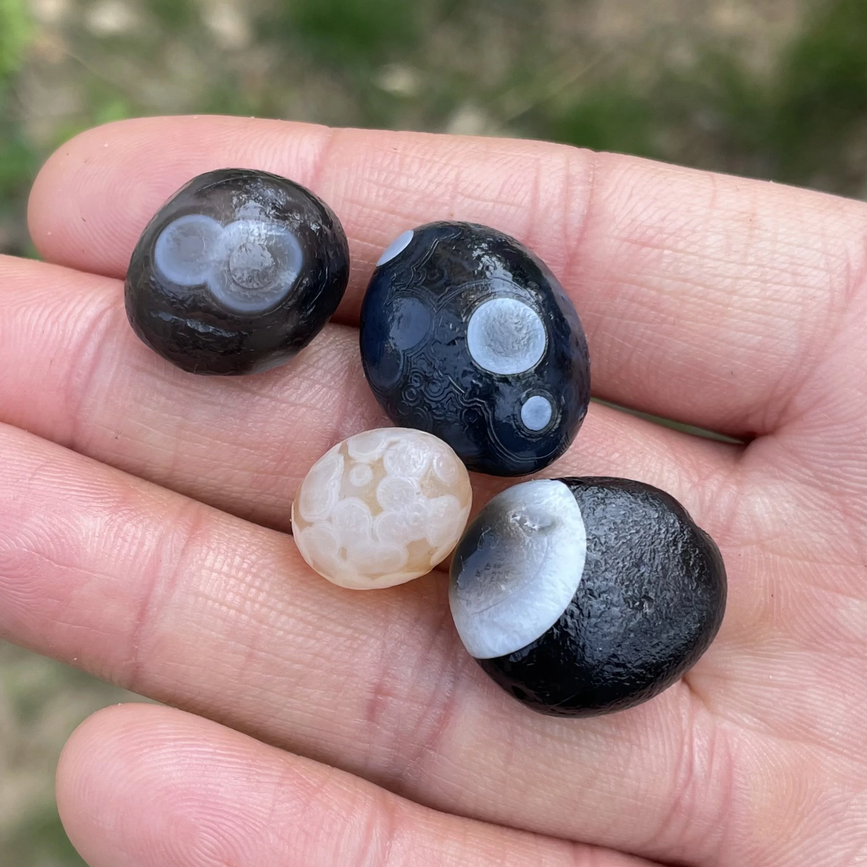 Натуральный черный агат Sardonyx Alxa Gobi Eye Rock минеральный образец энергетический