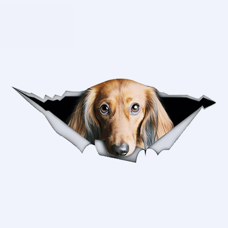 13 см * 5 1 шт. красная длинноволосая такса автомобильная наклейка домашняя собака