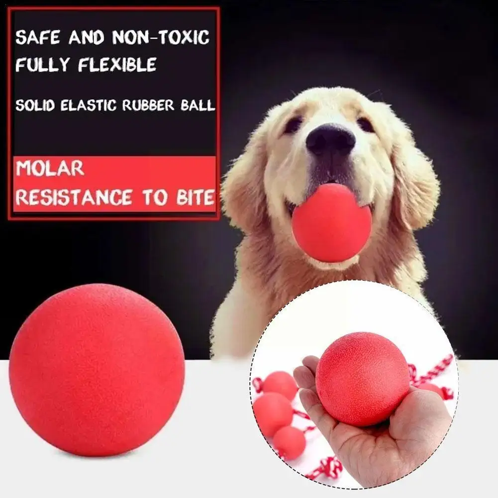 

1pcs Pet Dog Toy Ball Bite-Resistant Chewing Indestructible Ball Dog Supplies Bouncing Rubber Training Pet Ball Interactive L0L2