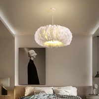 nordic simple warm romantic creative bedroom bedside feather chandeliers personality living room girl feather pendant lamps
