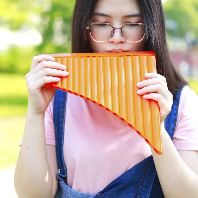 

16 Pipes Pan Flute Panpipe with Carrying Bag Music Woodwind Instrument for Beginner Student Kids Children Gift Learning Teaching