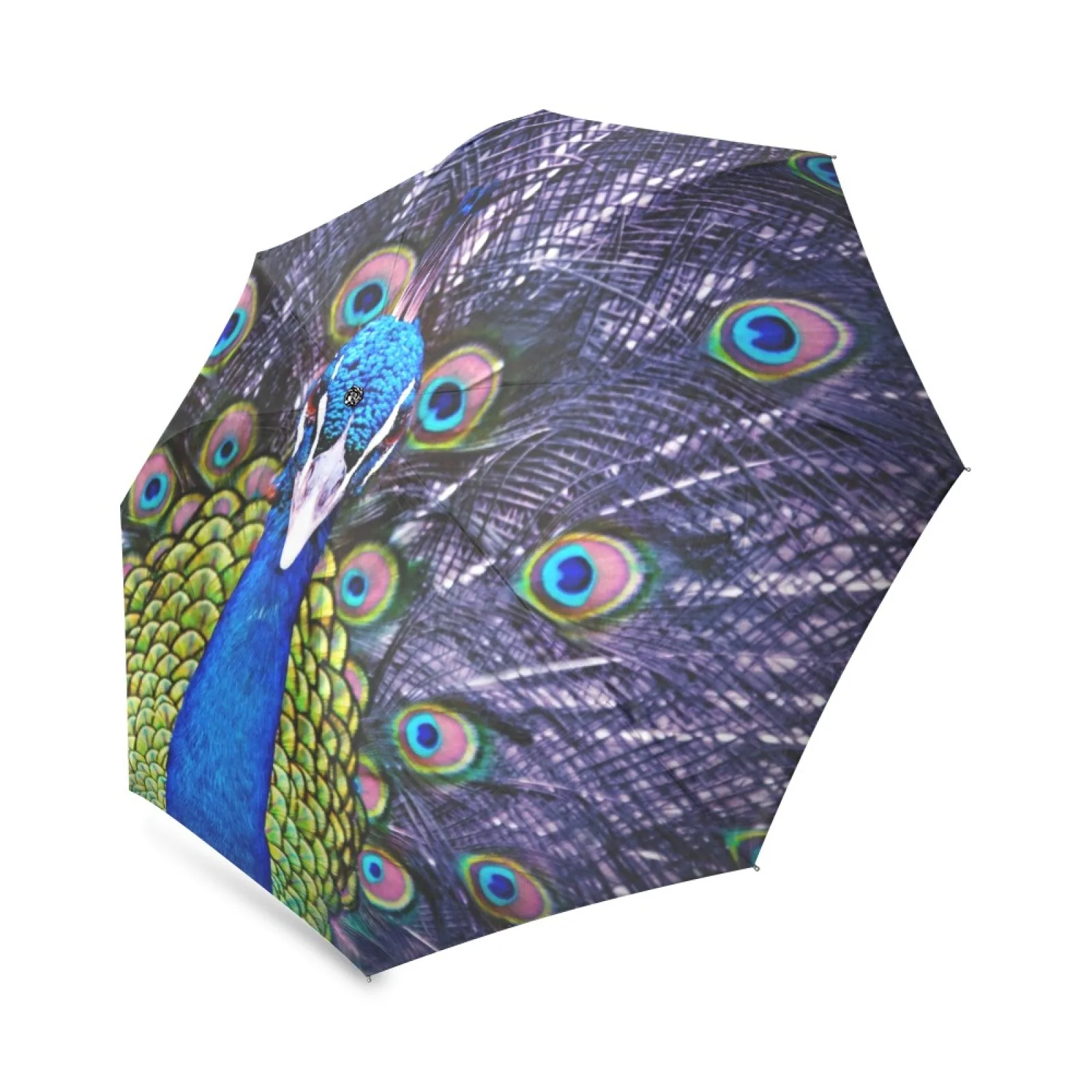 

Unique Peacock Foldable Rain Umbrella Windproof Pocket Portable Travel Umbrella For Valentine's Lovers Gift