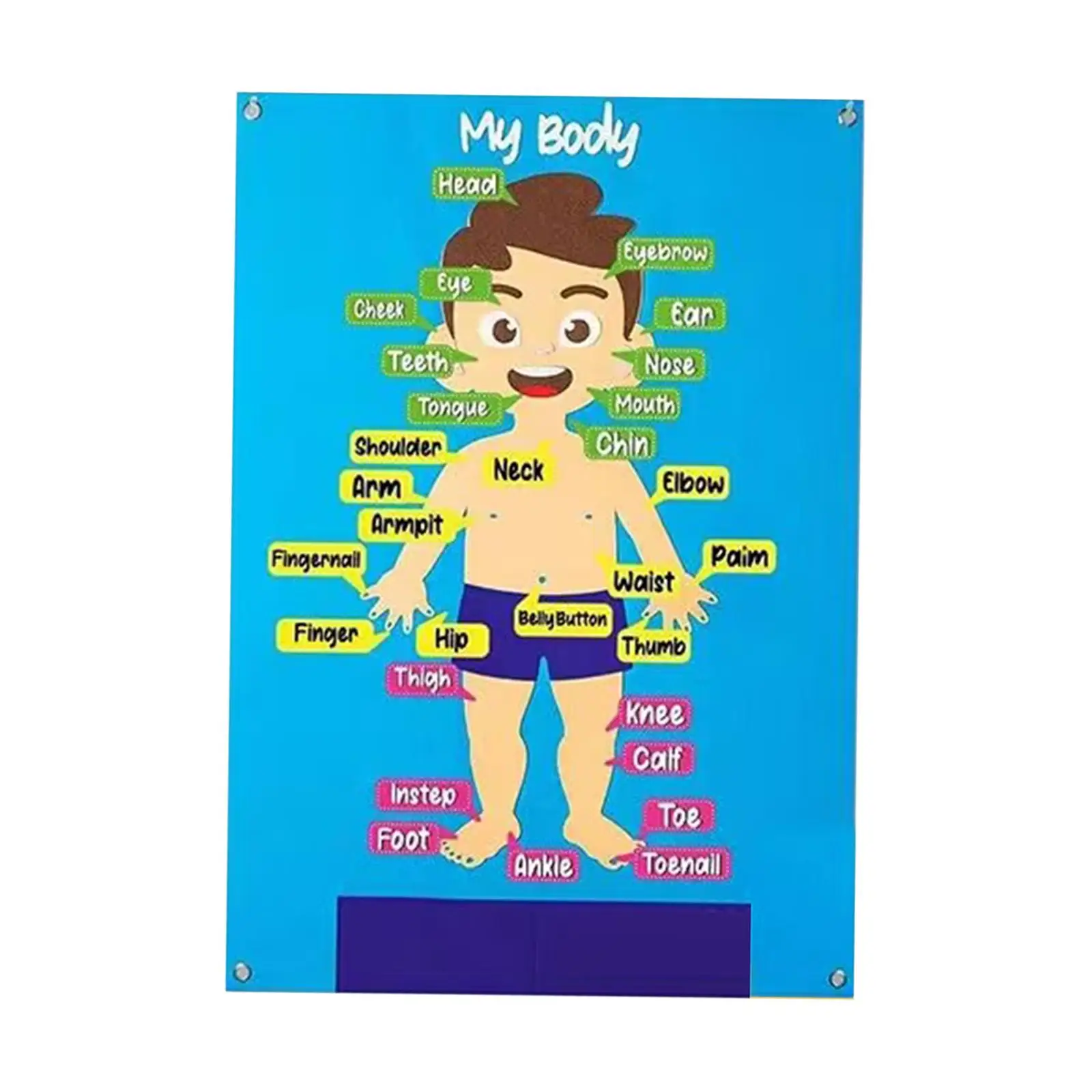 

Wall Hang Storytelling Activities Kits Educational Felt board Set for Kindergarten