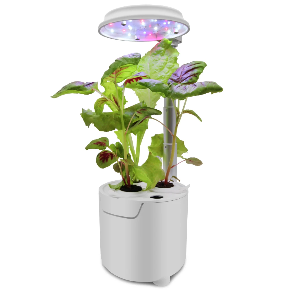 Hydroponics Growing System 3 Pods Indoor Herb Gardening System with LED Grow Lights Automatic Timer and Pump, Hydroponic Plant