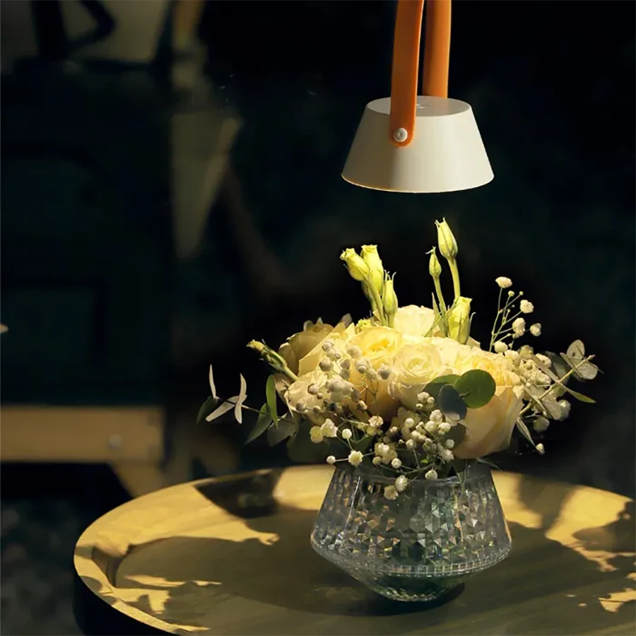 

Outdoor Camping Night Light Rechargeable Lamp with Step-less Dimming and Infinitely Charging Star Galaxy Light Projector