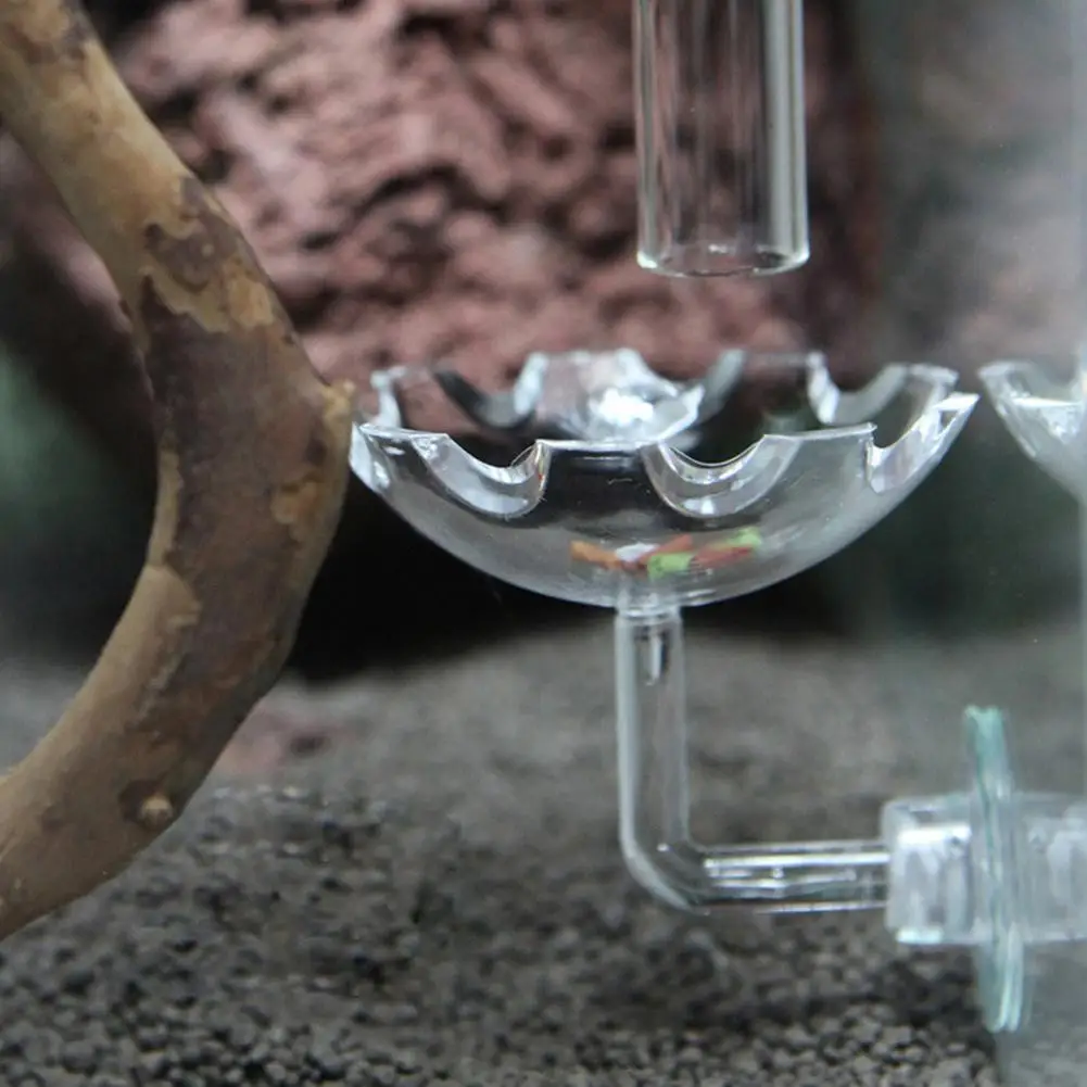 

Блюдо для кормления креветок, блюдо для кормления креветок, аквариумный резервуар для рыб, зеркальная стеклянная трубка для кормления, блюд...