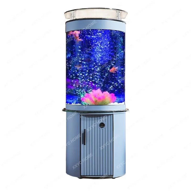 

Фильтр для замены воды, аквариум для рыб в гостиной, маленький экологический аквариум, полукруглая деталь, близок к фотографиям, роскошный рыбный шар