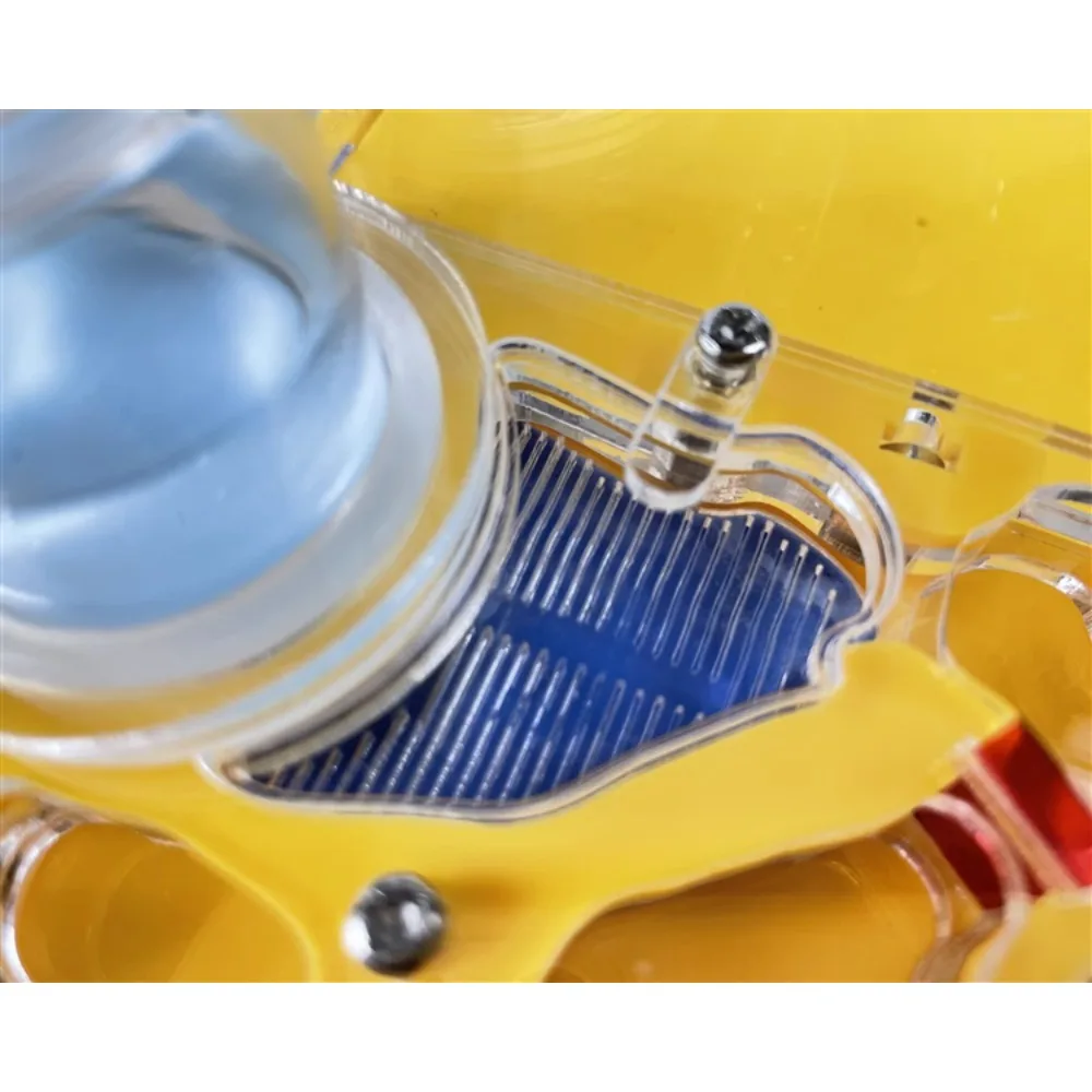 Акриловое гнездо для муравьев заменяет мастерскую муравьи Vivarium студенческая