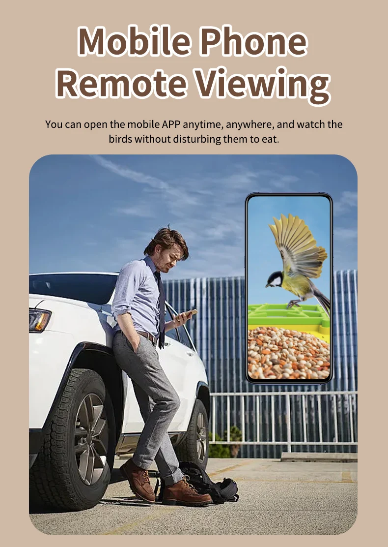 Фото STLFSmart Кормушка для птиц HD CameraMobile App Control Устойчивая к атмосферным воздействиям система наружного мониторинга на солнечной энергии №4