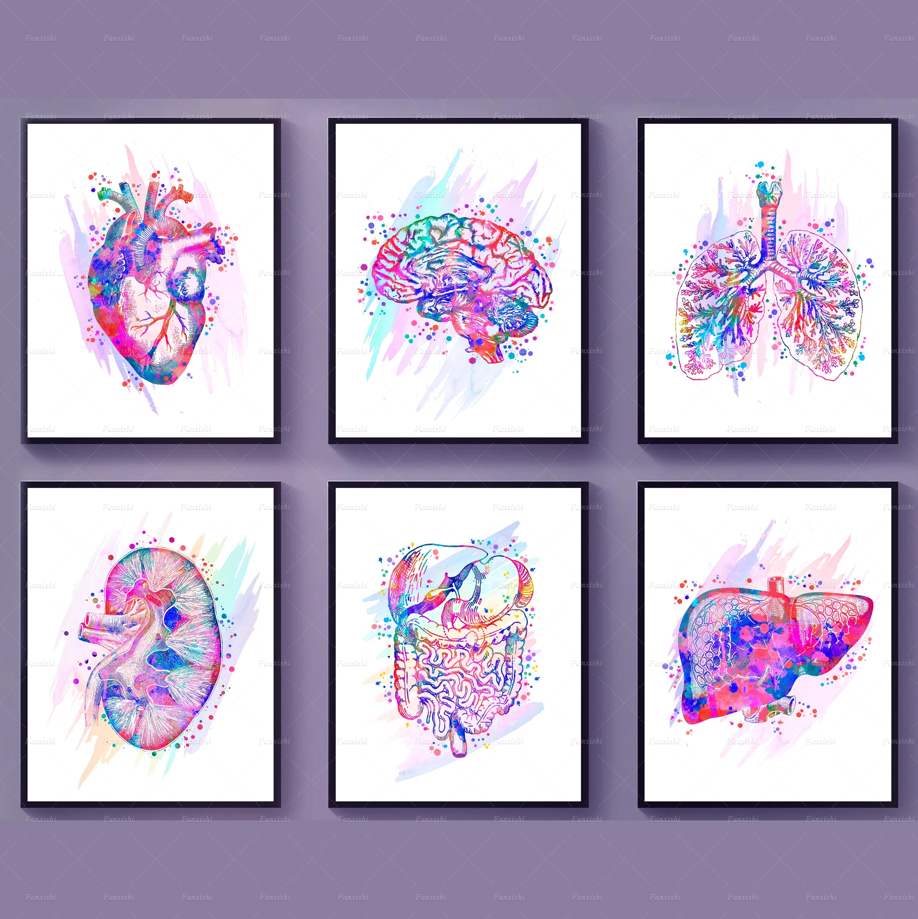 

Watercolor Anatomy Print Poster,Human Organ Art,Medical Art,Anatomical Heart,Brain,Bronchial Tree,Kidney,Intestines,Liver Decor