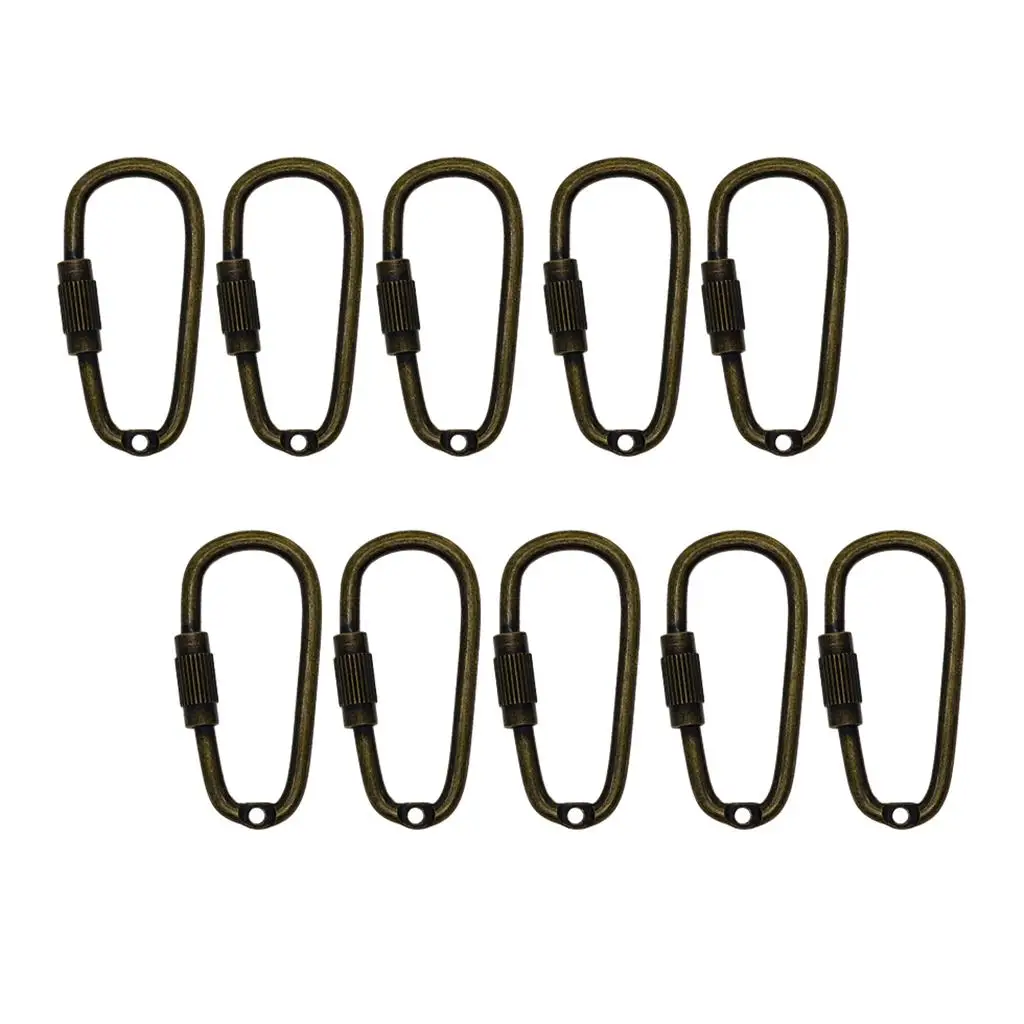 

10/20pcs D-Ring Carabiner Keychain Buckle Steel Screw Gate Locking Quickdraw
