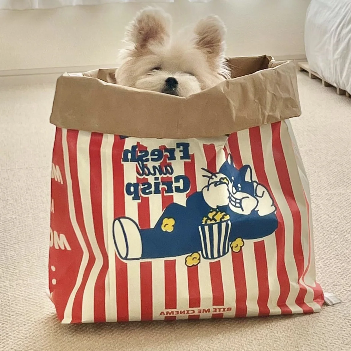 

Cat Tunnel Tube PlayTent popcorn shape Toy Puppy for Exercising Hiding Training cat Bed Fun Pet House