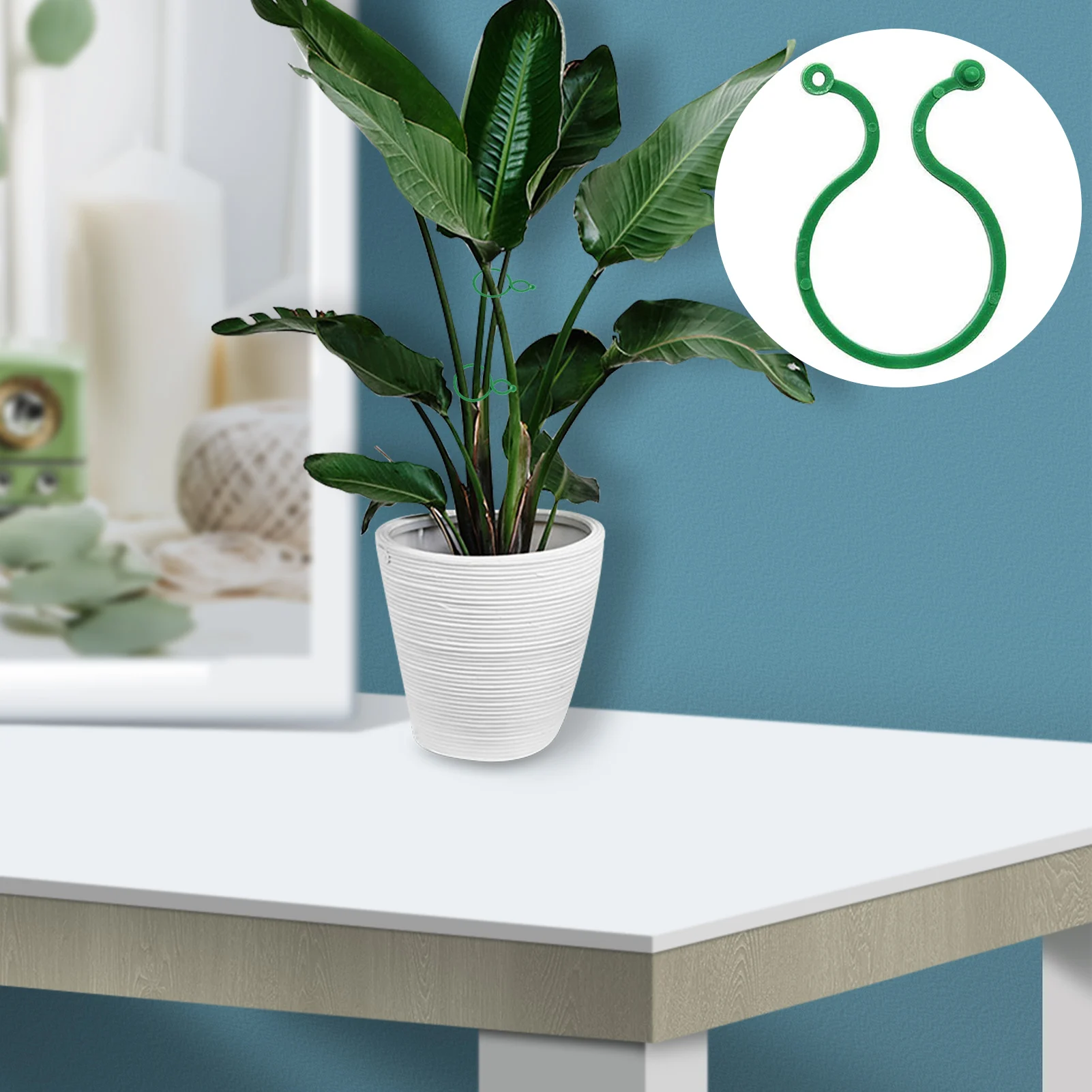 

100 шт., регулируемые зеленые зажимы для поддержки растений