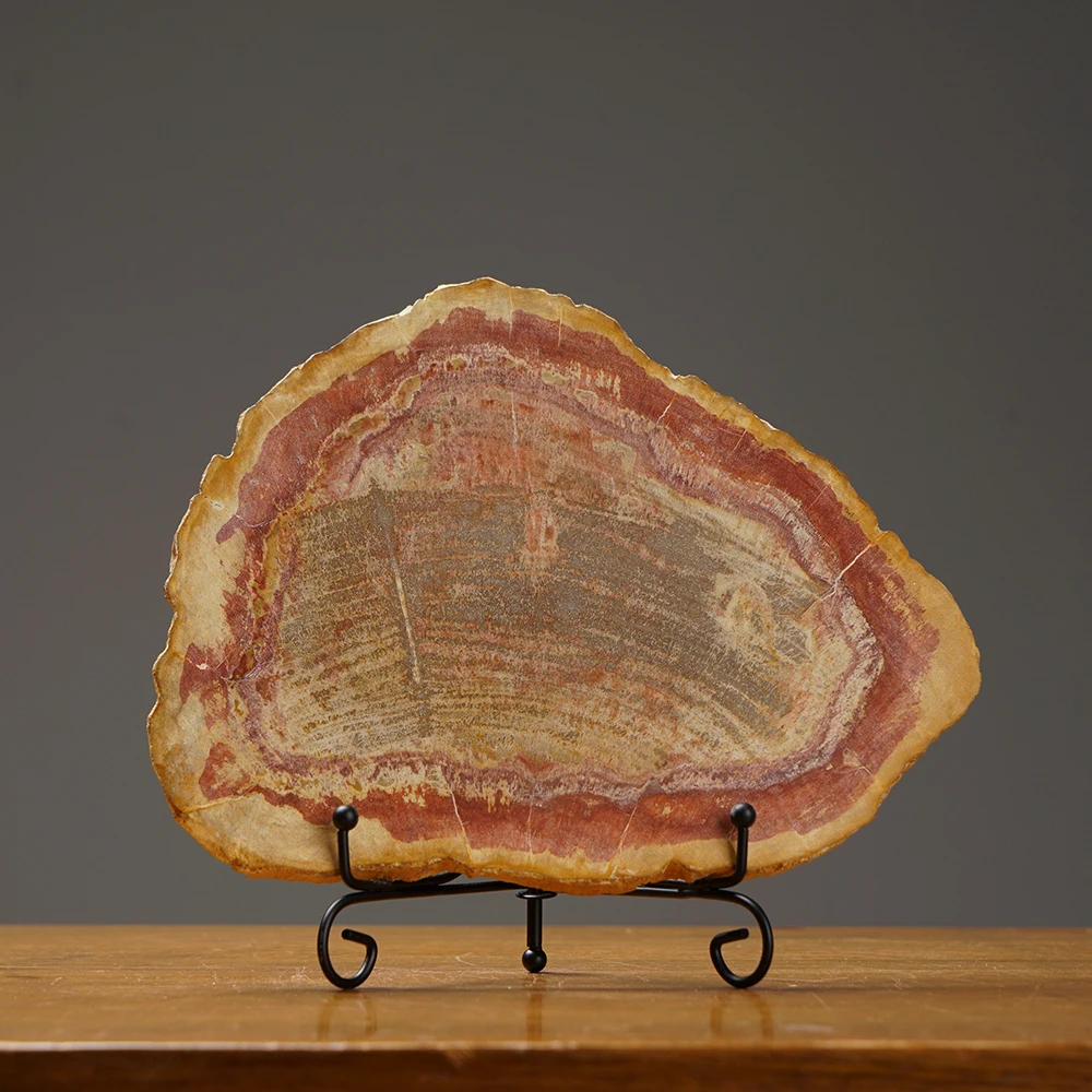 

Luxury Living Room Decoration Petrified Wood Slice with Iron Stand 2023 Christmas Decoration Home Accessories Office Desk Decor