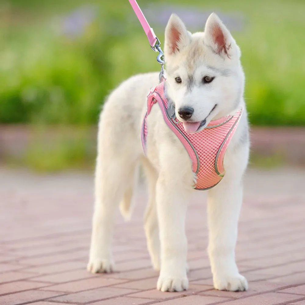 

Reflective Pet Harness Nylon Strap Traction Rope Dog Breathable Adjustable Collars Chihuahua Small Dogs Cat Travel Supplies