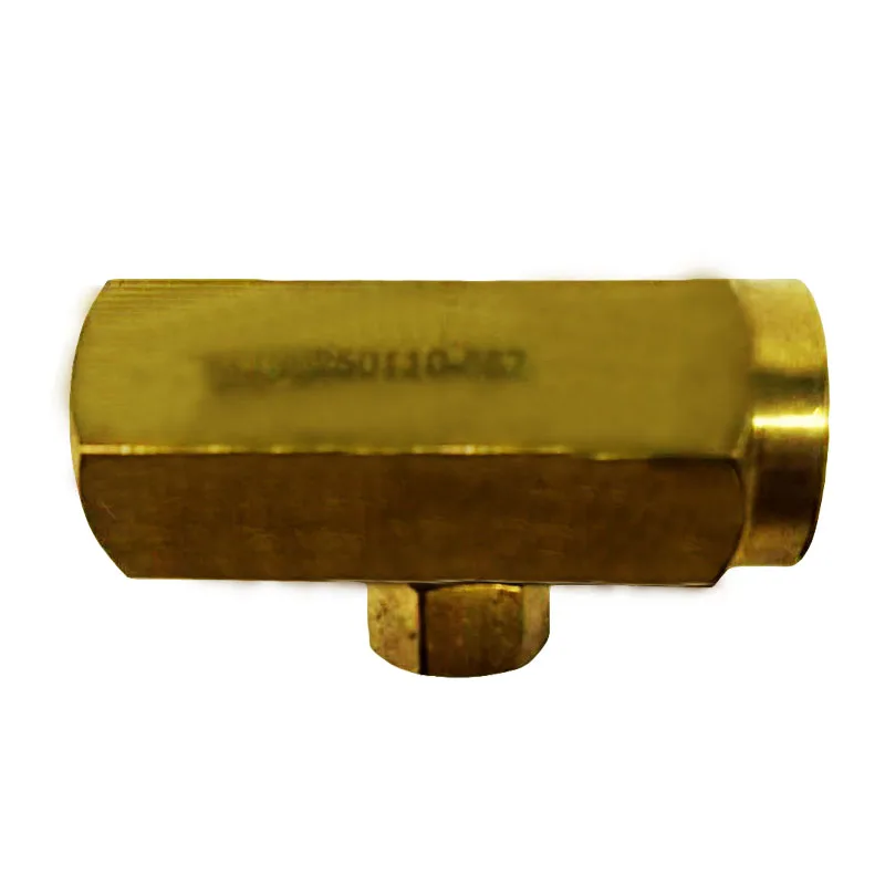 Spare Parts Wholesaler 02250110-557 Check Valve