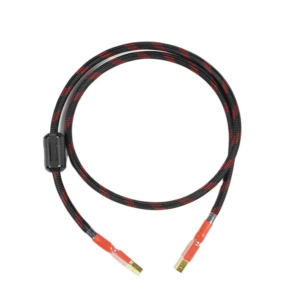 CANARE UC03 USB тип A к B кабель Профессиональный толстый 4N OFC для DAC USB интерфейс ноутбук ПК Hi-Fi