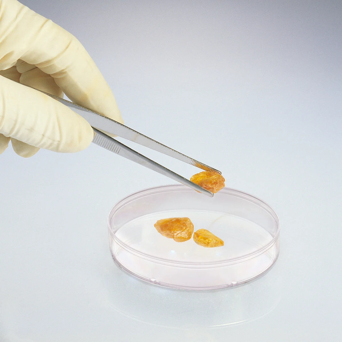 Чашки Петри с крышками Бактериальная культура Стекло Научный сабоaud Декструза