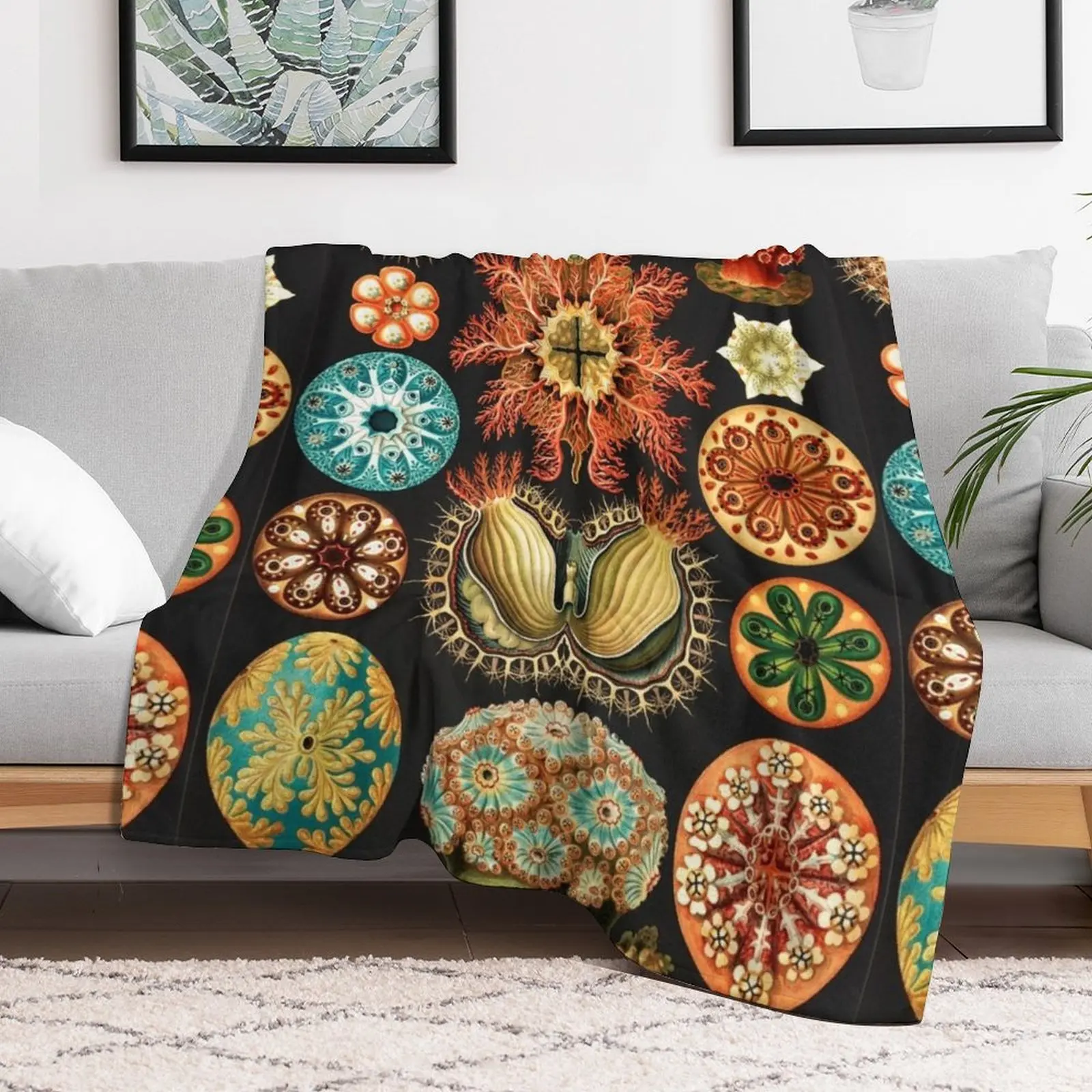 Art Forms in Nature от Ernst Haeckel Декоративное одеяло Дизайнеры для волос Летнее постельное