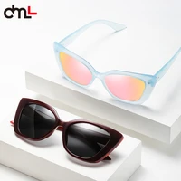 dml brand tr 90 sunglasses ultra light material luxury manwomen cat eye sun glasses polarized uv400 with leather box
