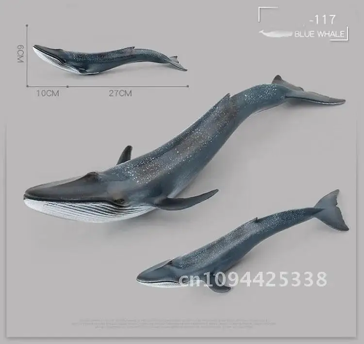 Моделирование морского животного большая акула кит фигурка Беллуга Мегалодон