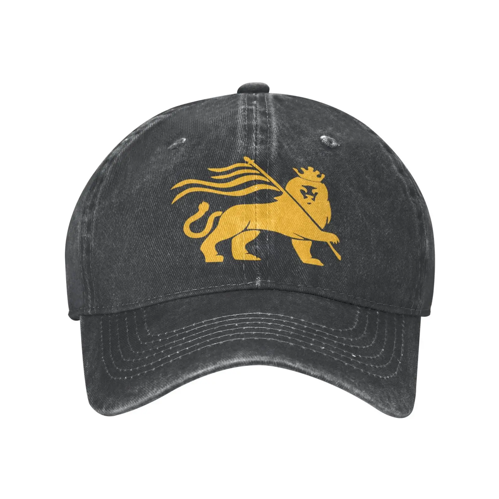 

Бейсболка льва Иуды Регги Раста НЕРА Для мужчин атласная Кепка кепка хип-хоп кепка s женский берет Панама женская мужская летняя кепка мужск...