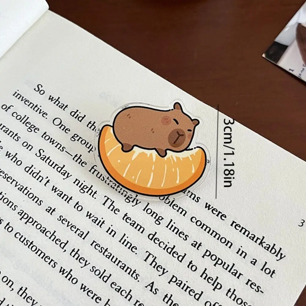 Изысканный нагрудник акриловая булавка капибара Милая брошь с фруктами