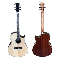 

OEM good acoustic guitar for beginners