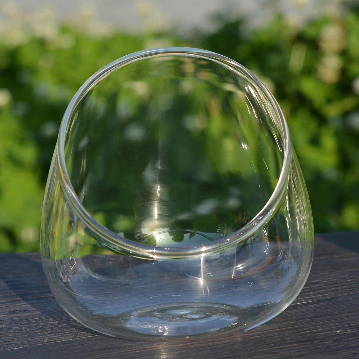

1 pcs Vase Glass Succulent Vase Glass Succulent Bowl Tabletop Succulent Bowl Slant Cut Globe
