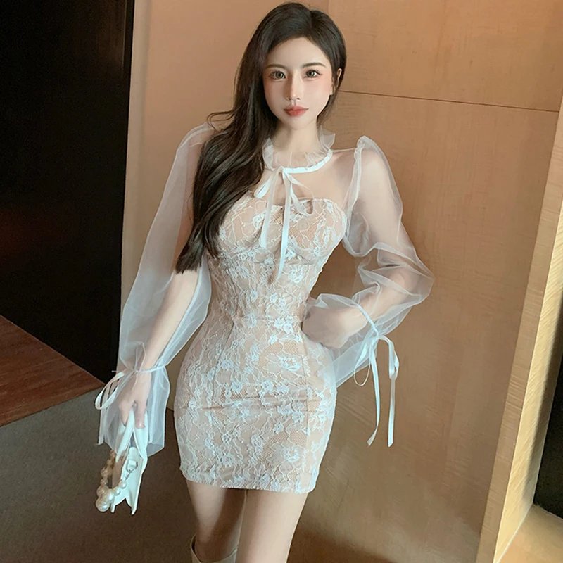 

Fashion Women Retro O-Neck Long Sleeve Mesh Perspective Mini Party Dress Elegant Sexy Street Clothes Embroidery Female Dress