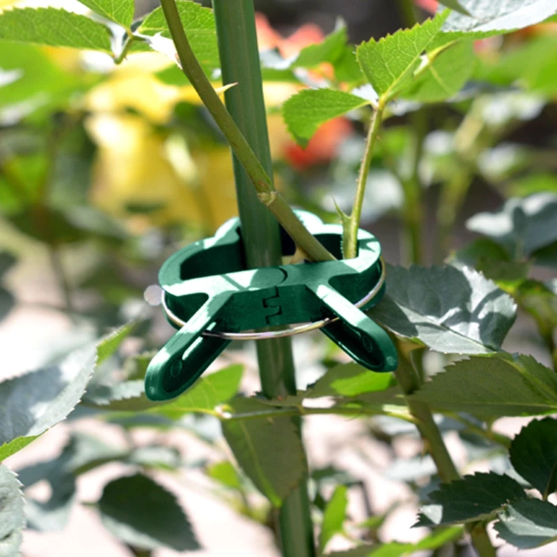 

20 шт., пластиковые зажимы для крепления растений